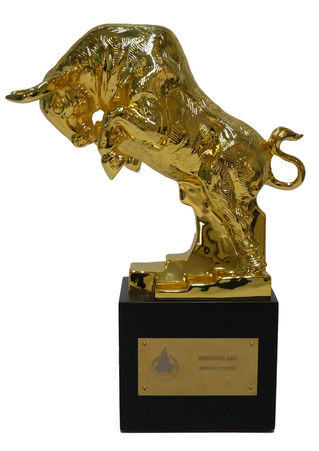 Golden Bull Award
Emerging SME Awards
Year 2021